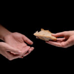 Derecho a alimentarnos